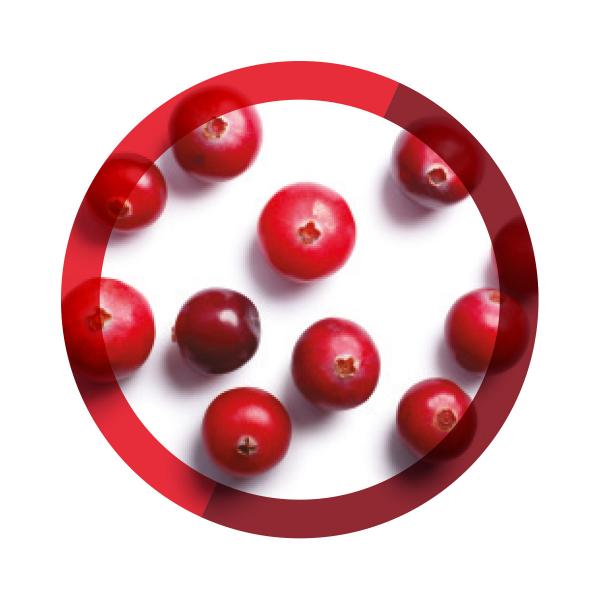 Cranberry